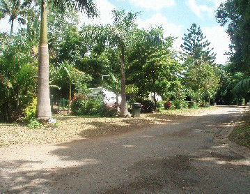 Cape Hillsborough Nature Resort - Accommodation QLD 4