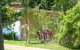 Resort Bamaga - thumb 2