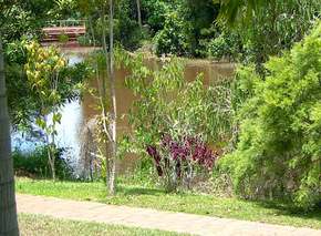 Resort Bamaga - Accommodation QLD 2