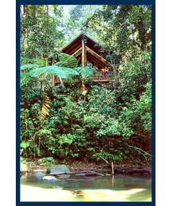 The Canopy Treehouses - Accommodation QLD 1