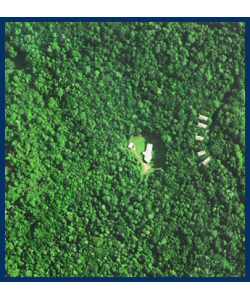 The Canopy Treehouses - Accommodation QLD 2