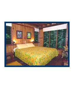 The Canopy Treehouses - Accommodation QLD 3