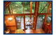 The Canopy Treehouses - thumb 4