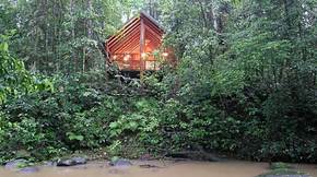The Canopy Treehouses - Accommodation QLD 5