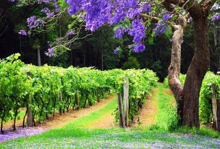 Huntingdon NSW Accommodation QLD
