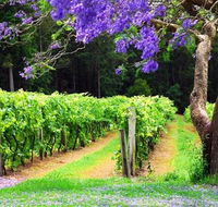 Bago Vineyards - Accommodation QLD