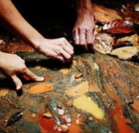 Daintree Eco Lodge And Spa - Accommodation QLD