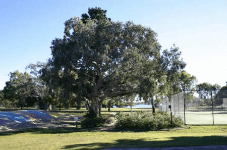 Coolwaters Holiday Village - thumb 5