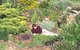 Chesleigh Homestead - thumb 1