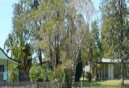 Nimbin NSW Accommodation QLD