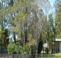 Nimbin Backpackers at Grannys Farm - Accommodation QLD