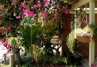 Denham Villas - Accommodation QLD