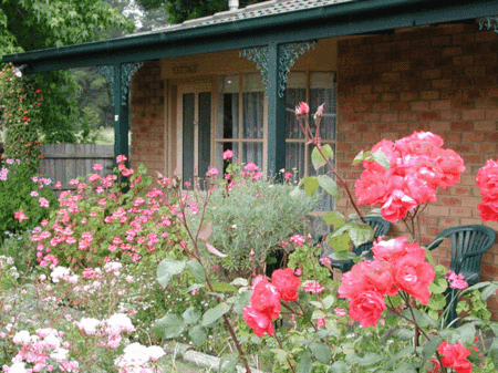 Balnarring Village Motor Inn - Accommodation QLD 5