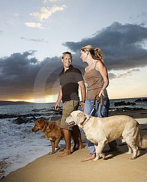 Four Seasons Holiday Park - Accommodation QLD 3