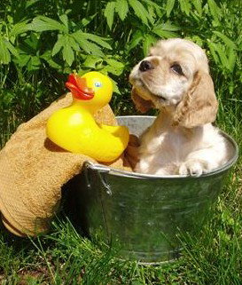 Four Seasons Holiday Park - Accommodation QLD 4