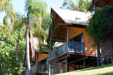 A Paradise Palms Resort - Accommodation QLD 1