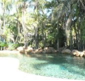 Bushland Beach Tavern - Accommodation QLD