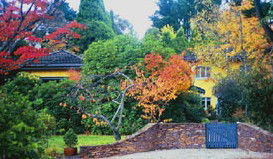 Moniques Bed And Breakfast - Accommodation QLD 3