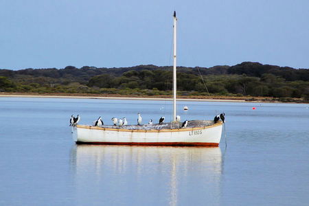 Riverview Cottage - Accommodation QLD 1