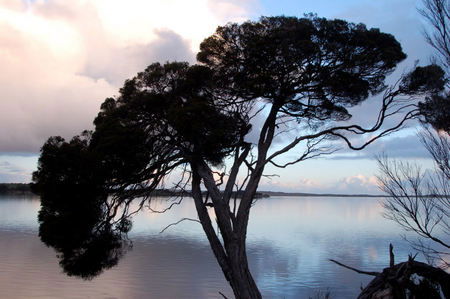 Riverview Cottage - Accommodation QLD 4