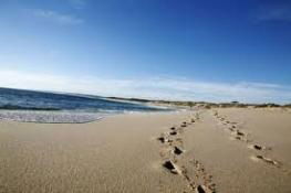 Kalbarri Palm Resort - Accommodation QLD 4