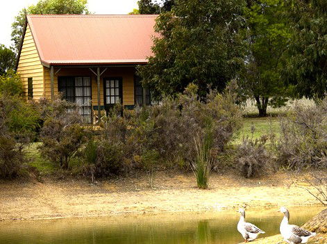 Mountain View Motor Inn And Holiday Lodges - Accommodation QLD 2