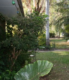 Douglas Daly Holiday Park - Accommodation QLD 1