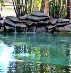 Douglas Daly Holiday Park - Accommodation QLD 2