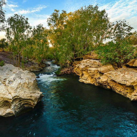 Douglas Daly Holiday Park - Accommodation QLD 7