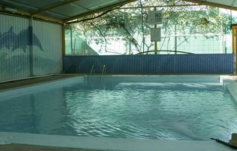 Wycliffe Well Holiday Park - Accommodation QLD 1