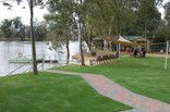 Riverside Holiday Park Blanchetown - Accommodation QLD 3