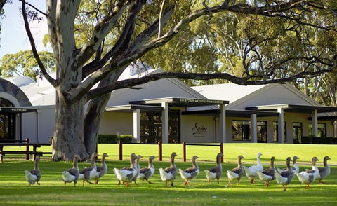 Serafino McLaren Vale - Accommodation QLD 0