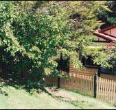 Apple Tree Cottage - Accommodation QLD