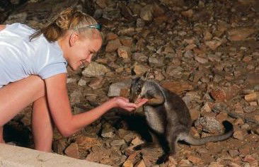 Heaviytrr Gap Outback Lodge - Accommodation QLD 5