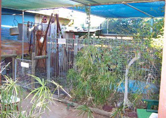 Safari Lodge Motel - Accommodation QLD 1