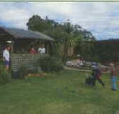 Tambo Lodge - Accommodation QLD