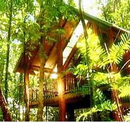 The Canopy Treehouses - Accommodation QLD