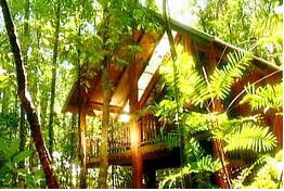 The Canopy Treehouses - Accommodation QLD 0