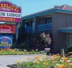 Strzelecki Motor Lodge - Accommodation QLD