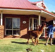 Brilea Cottages - Accommodation QLD