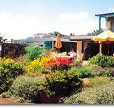Best Western Applegum Inn Motel - Toowoomba - Accommodation QLD