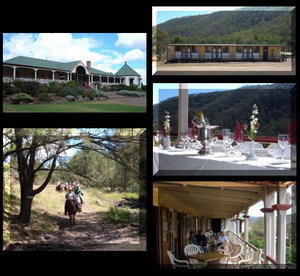 Bestbrook Mountain Resort - Accommodation QLD 1