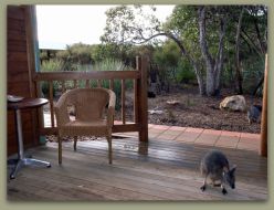 Kangaroo Island Wilderness Resort - Accommodation QLD 1