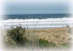 Wagstaffe NSW Accommodation QLD