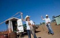 Kroombit Park At Lochenbar Station - Accommodation QLD 3
