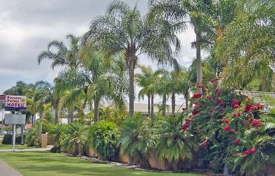 Forster Palms Motel - Accommodation QLD 2