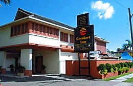 Comfort Inn The Rose - Accommodation QLD 1