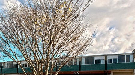 St Helens Bayside Inn - Accommodation QLD 1