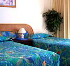 International Beach Resort - Accommodation QLD