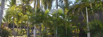 Pine Tree Motel - Accommodation QLD 2